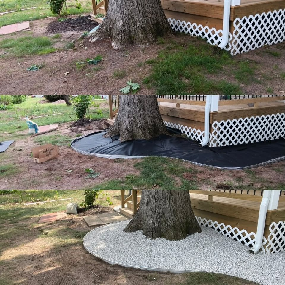 Three-stage tree ring installation showing bare ground, weed fabric and finished stone